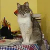 Отзыв от Лилия Грачева